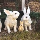 하랑실버빌리지 이미지