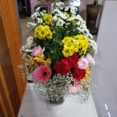 건강제주안마지압원 이미지