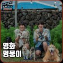 준호특공무술 | 영화 멍뭉이 정보 ott 등장인물 줄거리 후기