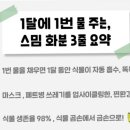 나무플래닛 이미지