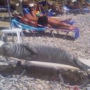 개편한 세상 이미지