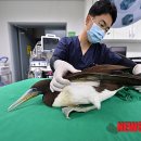 광주광역시야생동물구조관리센터 이미지