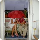 참사랑안경 이미지