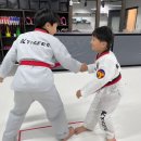 타이거즈 태권도 이미지