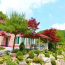 지희네펜션 이미지