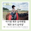 제주토이승마장 이미지