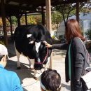 은찬목장 네이버블로그