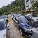 카스파이더 이미지