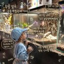화포천 생태체험장 화장실 | [구리 아기랑 가볼만한 곳] 곤충 좋아하는 아이라면? '521 농업생태체험장' 솔직 방문 후기!