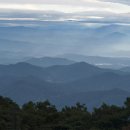 동성봉 티스토리