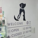 또멍냥 이미지