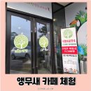 리프패럿청석공원점앵무새체험관카페 | 경기광주 리프패럿 앵무새 카페 아이와 함께 방문 후기