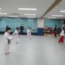 홀리드림태권도 이미지