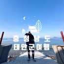 곰섬파라다이스2 이미지