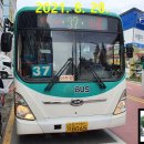 세교12통마을회관 티스토리