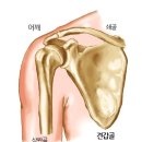 더 NEW 패밀리파크 휘트니스 이미지