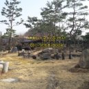 전원농원