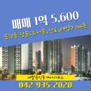 뉴청솔부동산 이미지