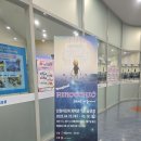 매지컬 피노키오 인천 관람후기 인천어린이과학관 공연장