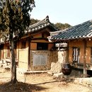 박씨