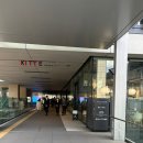 오토자동차 티-스테이션 | [아이랑] 오사카 스테이션 호텔 후기 (트윈룸 / 조식뷔페 / 사우나) 우메다 호텔추천♥