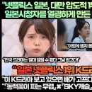 [일본반응]“넷플릭스 일본, 대만 압도적 1위 K드라마 요리자부심 일본시청자를 열광하게 만든 K드라마!” 이미지