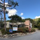 클레리아 | [공주]대전 근교 자연 속 힐링 감성캠핑 '클레리아 글램핑' 솔직 후기