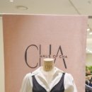 씨에이치에이 이미지