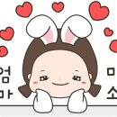 해뜰인테리어 이미지