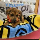 안골로108번길 이미지