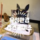 충대안경원 이미지