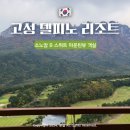고성 델피노 소노캄 B동 스위트 클린 설악마운틴뷰 객실 후기