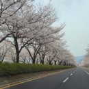 황매산문워크카라반캠핑