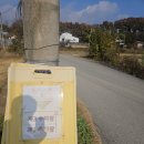 금은농장 | [경기/용인시]용인체험농장 헤븐온어스 동물체험농장