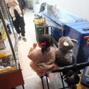 집현동_새나루 9단지 버스정류장 | 세종 붕어빵 앙금폭탄 내돈내산 집현동 맛KET 솔직후기