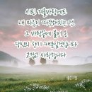 빛가람타이어 이미지