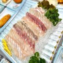 속초 노포 횟집 추천 동명항 회 맛집 가성비 대게 스끼다시천국