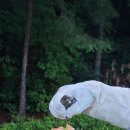 동코스5번 이미지