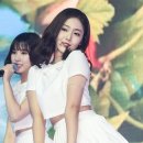 신비 이미지
