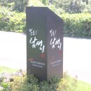 헬로남생이