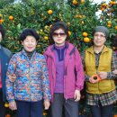 경식농장 이미지