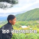 주식회사 한국도시숲관리 | 영주 국립 산림 치유원 - 숙소 숙박 식사 카페 숲산책