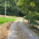 초당낚시터 이미지