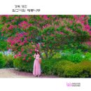 영천서원 티스토리