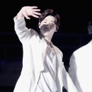 쌀강아지 Daum카페
