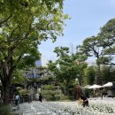 양평너른마당 뜨란채 | W4. 하우스웨딩을 꿈꾸던 신부가 야외예식을 하게 된 썰 (원인재웨딩)