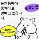 블루샵 이미지