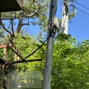 숲속의 이글루 이미지