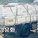 유안약품 이미지