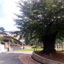 남평축사 이미지